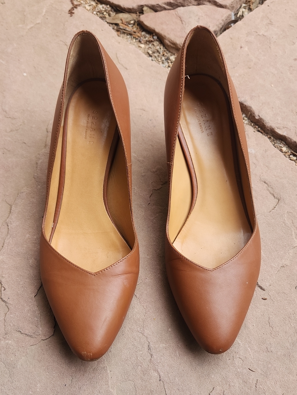 Women's Pointed-Toe Leather Pumps in Brown